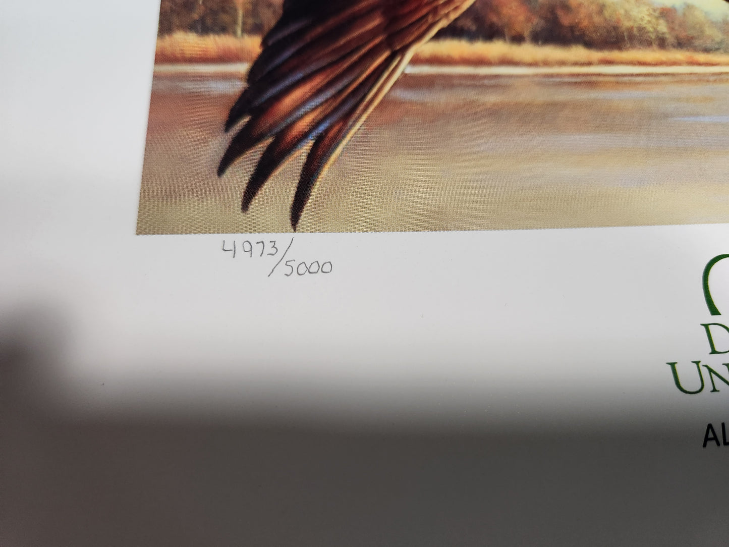 V- 2018 75th Anniversary Ducks Unlimited Sponsor Signed and Numbered Poster 11x13