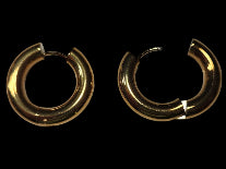 Gold Hoop Earrings
