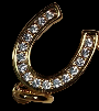 Horseshoe and Rhinestone Charm