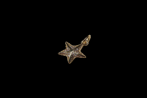 Golden Pave Starfish Charm Small/Tiny