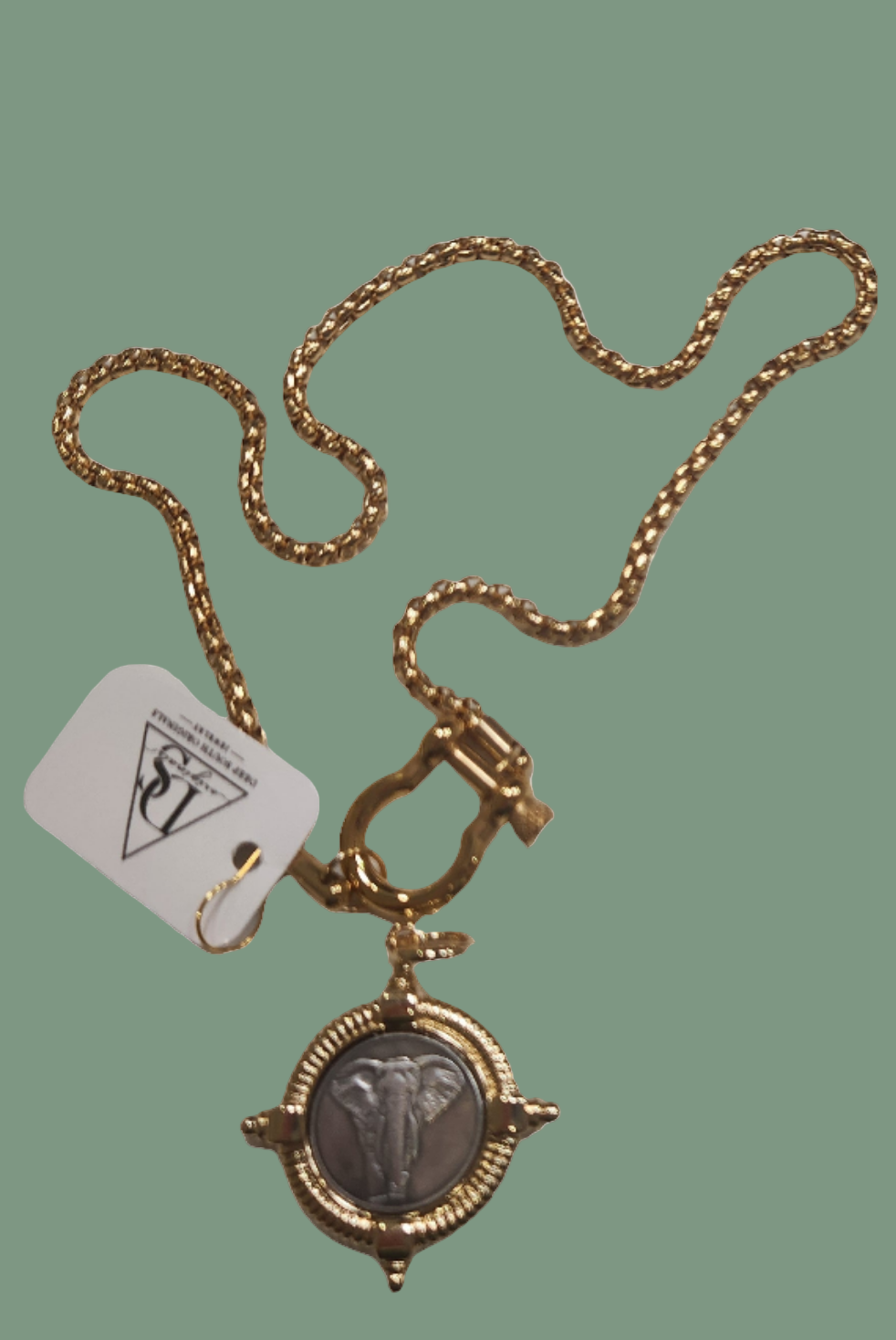 Buckle Lock Necklace in Gold