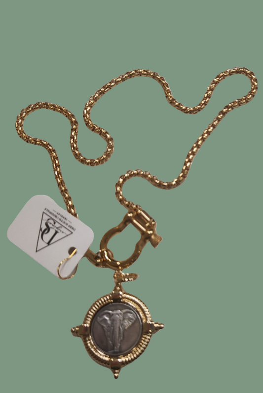 Buckle Lock Necklace in Gold