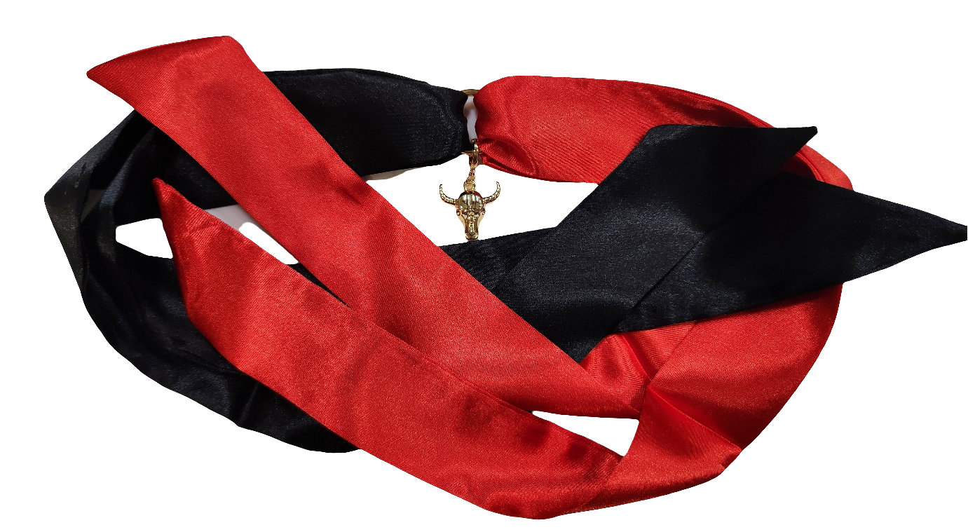 Spanish Fort Toros Skinny Scarf Charm Necklace/Bracelet & More