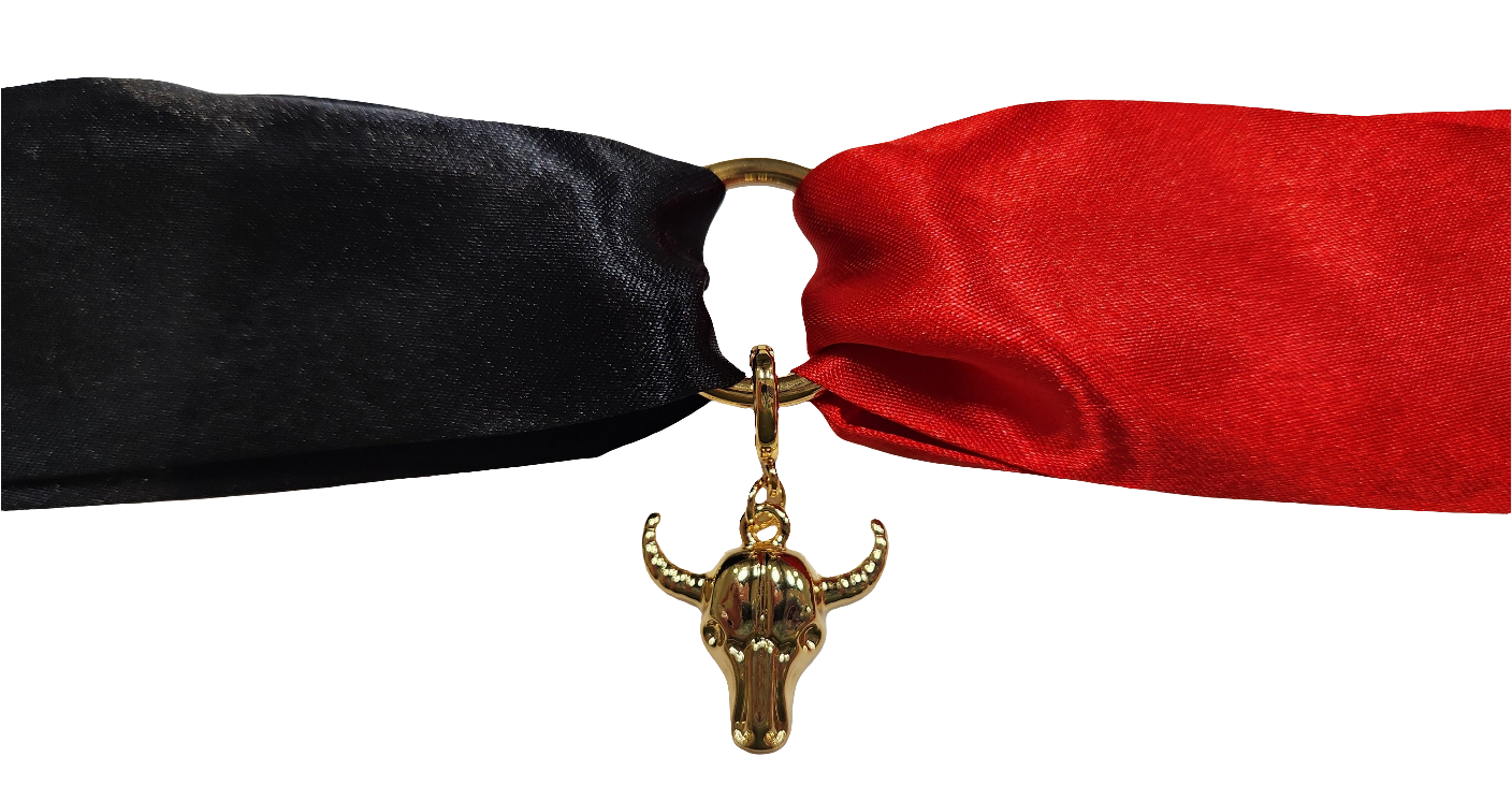 Spanish Fort Toros Skinny Scarf Charm Necklace/Bracelet & More