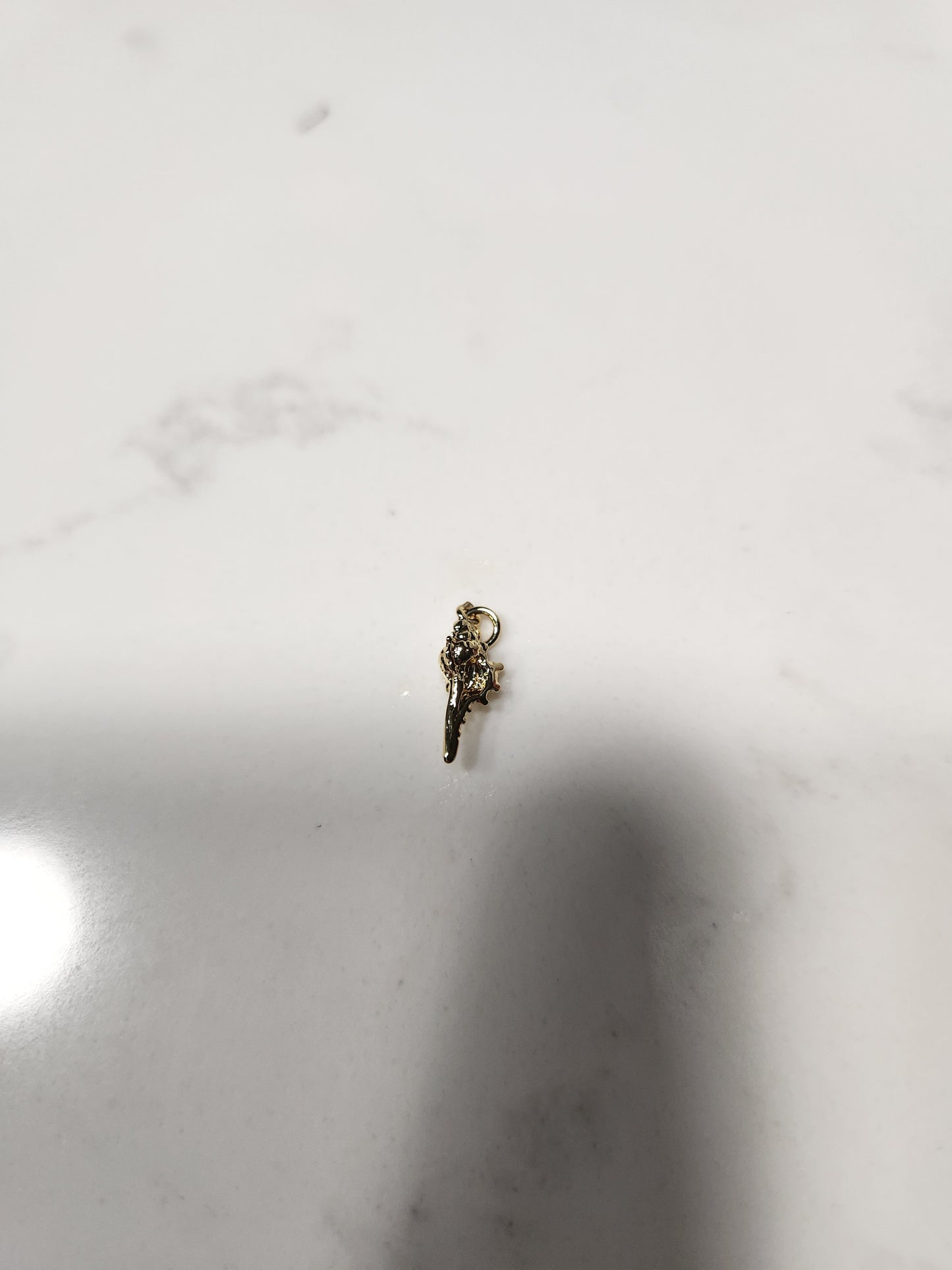 Itsy Conch Charm